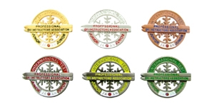 Example image
