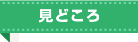 見どころ